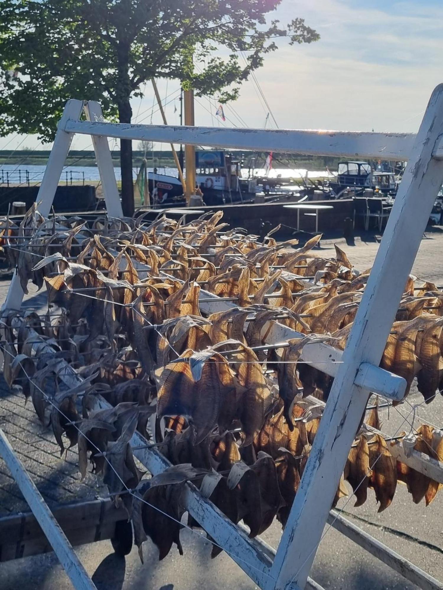 Ollediek Houwerzijl Eksteriør billede